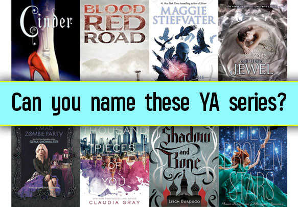 Can You Name The Series These Books Are From?