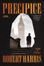 Precipice: A Novel