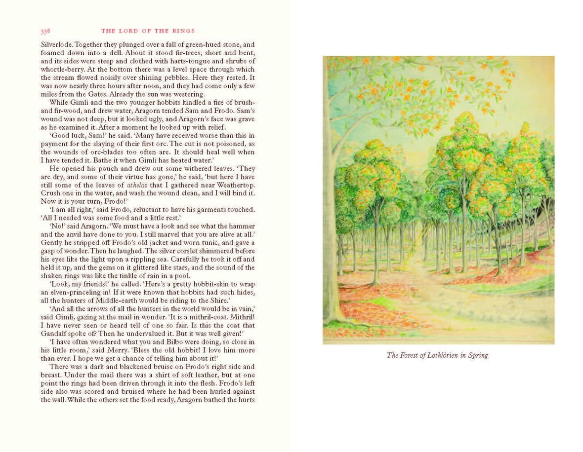 The Lord of the Rings Deluxe Illustrated by the Author: Special Edition