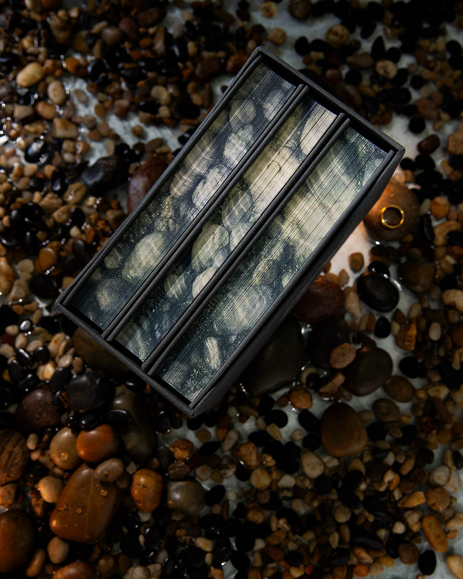 The Lord of the Rings Deluxe Illustrated Box Set: The Fellowship of the Ring / The Two Towers / The Return of the King