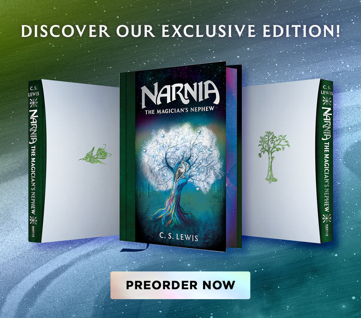 Narnia The Magicians Nephew - Preorder Now