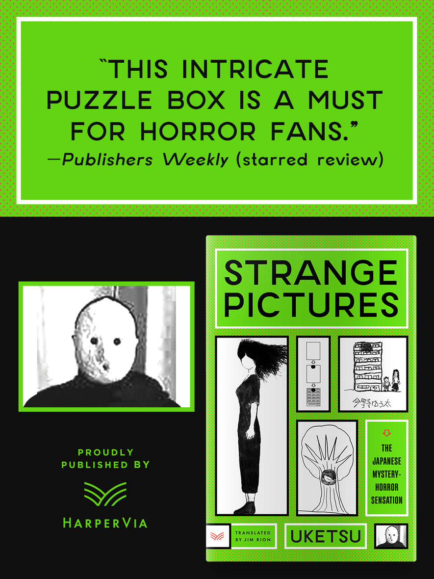 Strange Pictures: A Novel